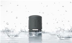 SONY SRS-XB100 Portable Wireless Speaker, Black