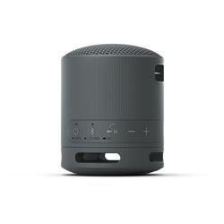 SONY SRS-XB100 Portable Wireless Speaker, Black