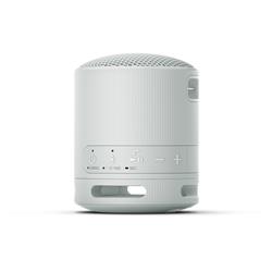 SONY SRS-XB100 Portable Wireless Speaker, Grey