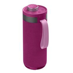 JLAB GO Party Bluetooth Haut-parleur Bluetooth portable, Mûre