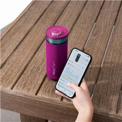 JLAB GO Party Bluetooth Haut-parleur Bluetooth portable, Mûre