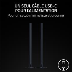 Razer - Aether Standing Light RGB LED Light Bars - Black