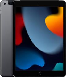 Apple iPad (9e génération) reconditionné, Wi-Fi, gris sidéral, 10,2 po