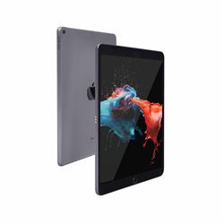 Apple iPad (9e génération) reconditionné, Wi-Fi, gris sidéral, 10,2 po