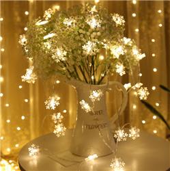 iCAN Indoor Snowflake LED Light Chain.