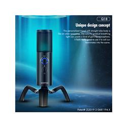YANMAI Q18 RGB Perfect Sound Quality Studio Microphone