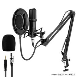 YANMAI Q10 Exclusive Design Patent Microphone(Open Box)