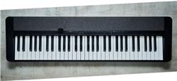 CASIO Casiotone CT-S1 de piano électrique à 61 touches, noir