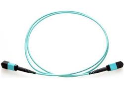 Câble fibre optique multimode Axiom MPO femelle vers MPO femelle OM4 50/125 - 7 m