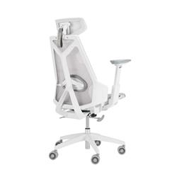 ASUS ROG Destrier Core Chaise de jeu ergonomique, maille blanche