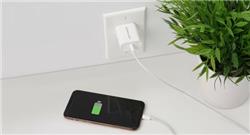 IOGEAR GearPower Chargeur USB-C 20 W