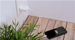 IOGEAR GearPower Chargeur USB-C 20 W