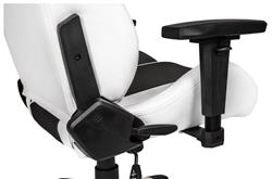 AKRacing (Arctica Series) - Chaise de jeu blanc/noir
