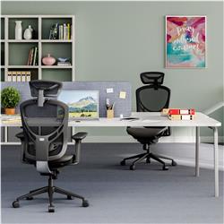 GTCHAIR I-VINO Ergonomic Office Chair, Back(Open Box)
