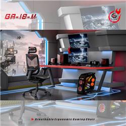 GTCHAIR inFlex Ergonomic Office Chair, Mesh, Black