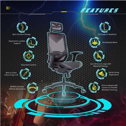 GTCHAIR inFlex Ergonomic Office Chair, Mesh, Black