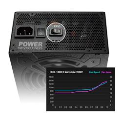 FSP HG2-1000  Gold ATX Power Supply, Black