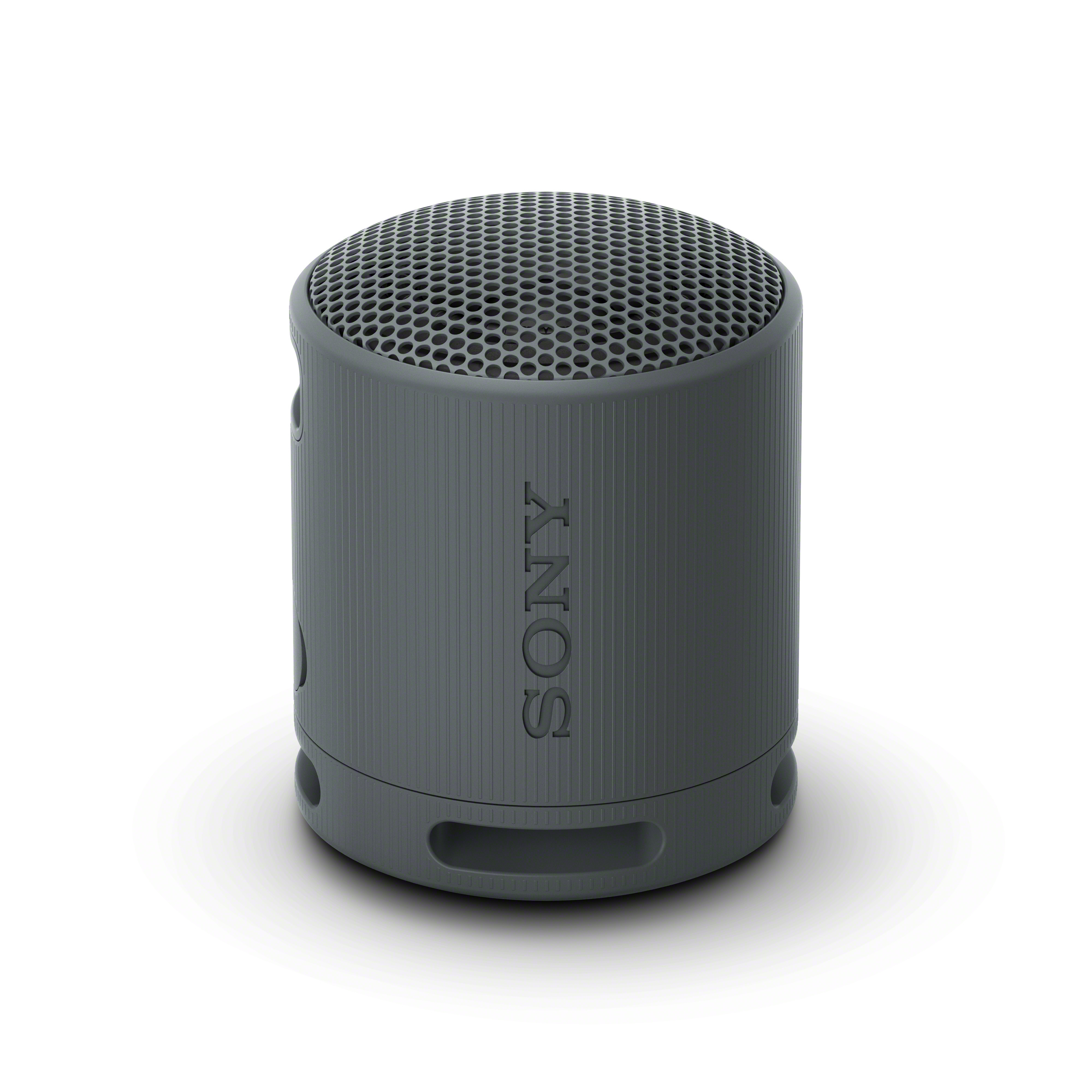 SONY SRS-XB100 Portable Wireless Speaker, Black