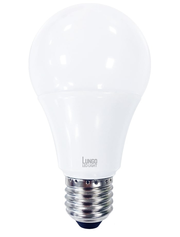 mpoule DEL LUNGO A19 - 120V CA - 3000