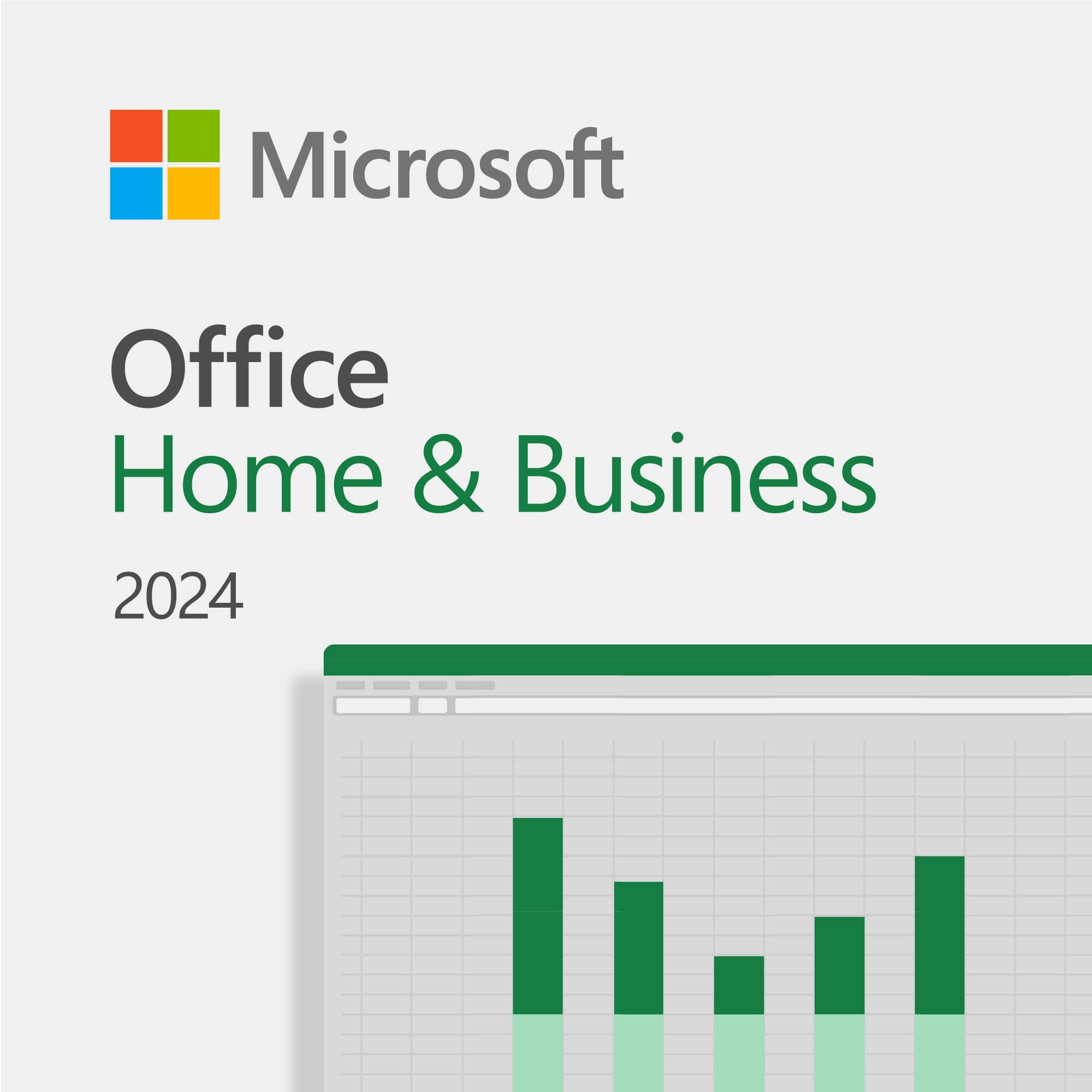 MICROSOFT Office Home & Business 2024 (1 User License) EP2-06638