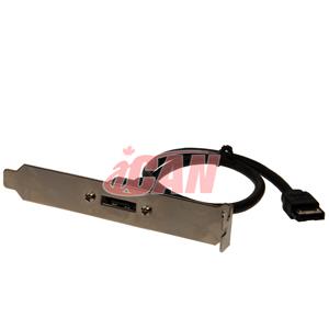 iCAN Extends/Converts 2 Internal Sata to 1 eSATA2 Port