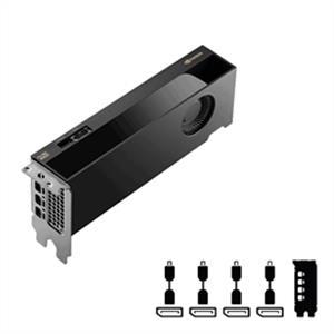 PNY NVIDIA RTX PRO 4000 Blackwell Édition SFF GDDR7