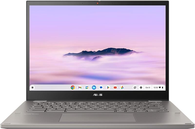 ASUS Chromebook Flip 14