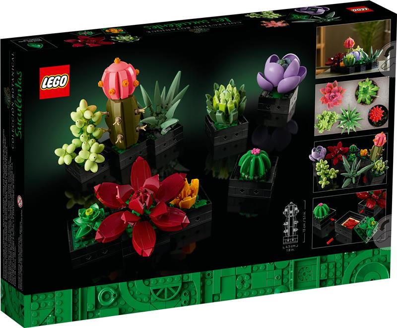 LEGO Icons Ensemble de plantes succulentes et de fleurs pour adultes,