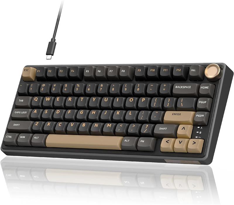 iCAN R75 81 Keys Wired RGB Mechanical Gaming Keyboard, Gasket Design