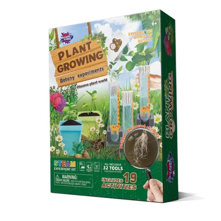 BIG BANG SCIENCE Plant Growing Botany Experiment | STEM (STEAM) Experi