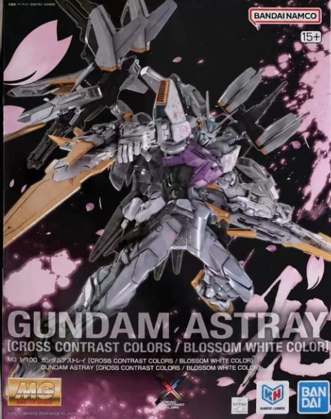 P-BANDAI MG 1/100 GUNDAM ASTRAY [CROSS CONTRAST COLORS]
