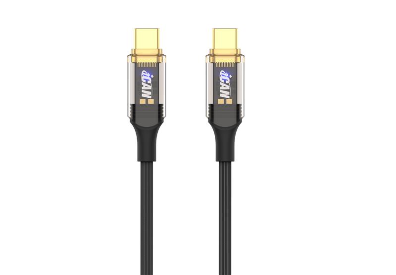 Câble iCAN USB 2.0 Type-C Mâle vers Type-C Mâle, 100W, 6,6 pieds