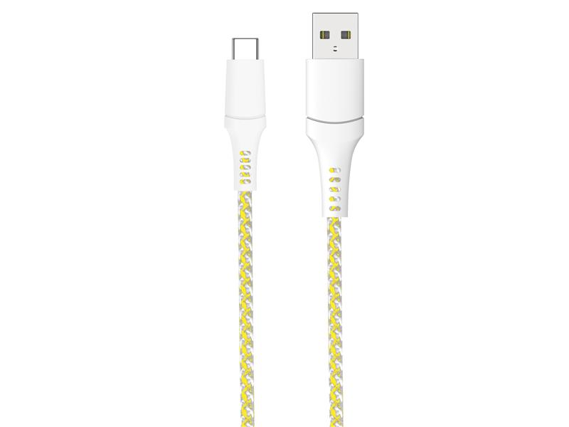 Câble iCAN USB 2.0 Type-A Mâle vers Type-C Mâle, 100W, 3,3 pieds