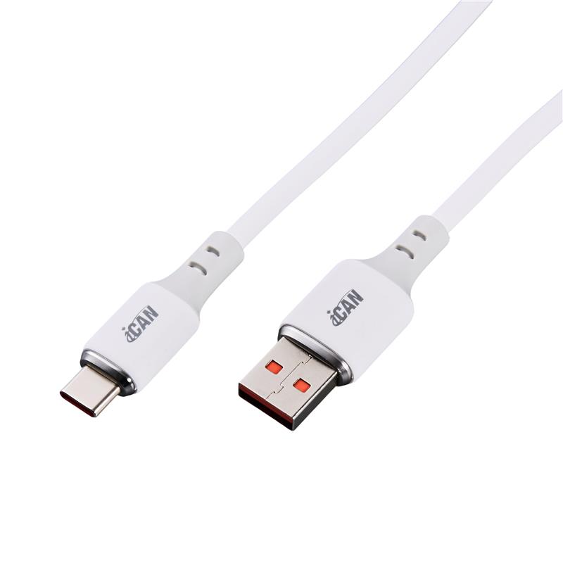 Câble iCAN USB 2.0 Type-A Mâle vers Type-C Mâle, 100W, 6 pieds