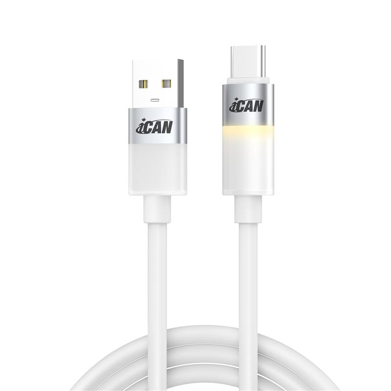Câble iCAN LED Chaud USB 2.0 Type-A Mâle vers Type-C Mâle, 3A, 6 pieds