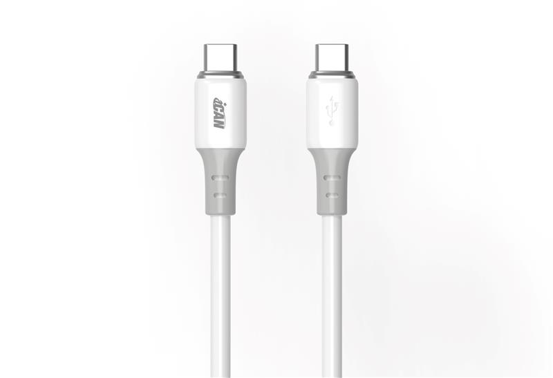 Câble iCAN USB 2.0 Type-C Mâle vers Type-C Mâle, 100W, 6,6 pieds