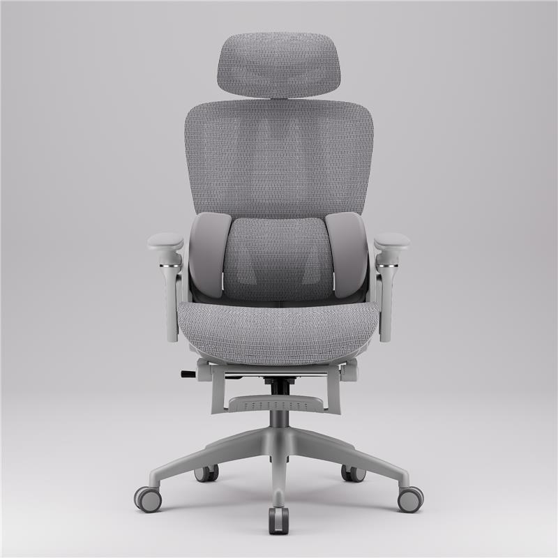 iCAN E21-GY Reclining Ergonomic Office Chair