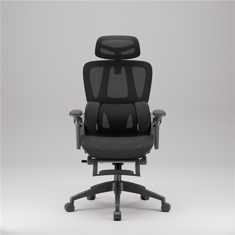 iCAN E21-BK Special Mesh Ergonomic Office Chair