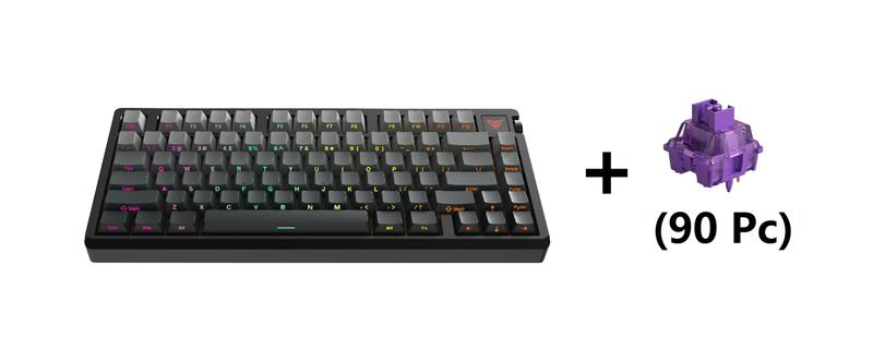ARMOURY Keyboard - Black + Akko Lavender Pro Switches