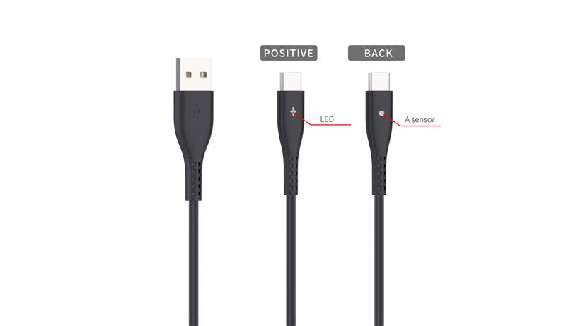 iCAN USB 2.0 A Male C Male...