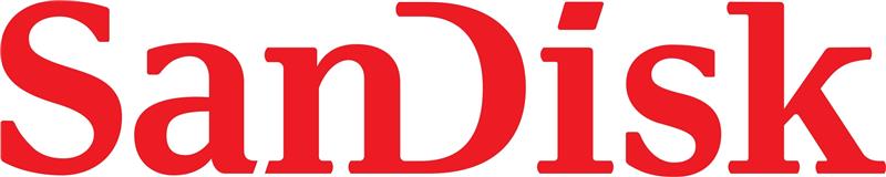 SanDisk - Carte SD