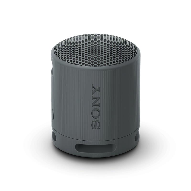 SONY SRS-XB100 Portable Wireless Speaker, Black