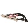 iCAN Extends/Converts 2 Internal Sata to 2 eSATA2 Ports