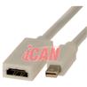 iCAN Mac Mini DisplayPort Male to HDMI Female 1080P Adapter