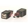 iCAN Converts USB B Female to Mini B 5-pin Male