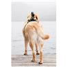 SONY AKADM1 Dog Mount for Action Cam(Open Box)