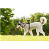 SONY AKADM1 Dog Mount for Action Cam(Open Box)