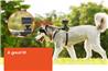 SONY AKADM1 Dog Mount for Action Cam(Open Box)