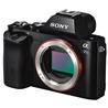 SONY Alpha a7S - Mirrorless Digital Camera(Open Box)