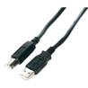 StarTech (USB2HAB15) - Câble USB 2.0 A mâle vers B mâle - 15 pi